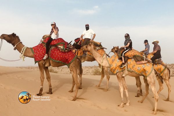 Camel Safari Pic (1)